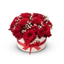 Box červených růží